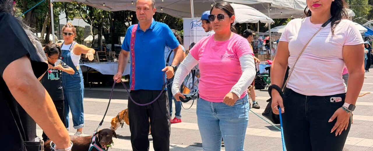 Jornada de Bienestar Animal en Coyoacán suma 962 acciones y un mensaje de solidaridad con México