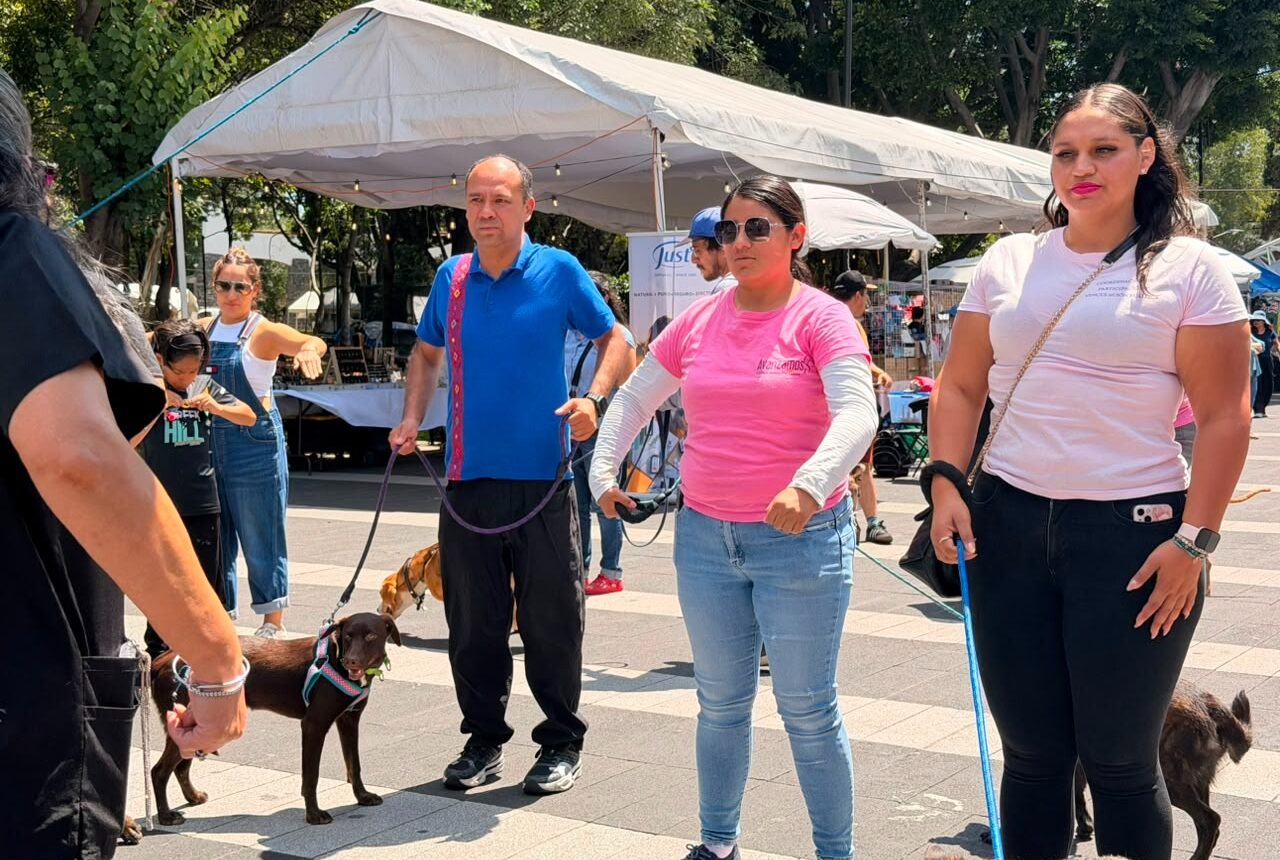 Jornada de Bienestar Animal en Coyoacán suma 962 acciones y un mensaje de solidaridad con México